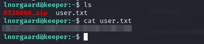 SSH access and the user flag
