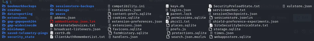 Listing of a Firefox profile folder with its artifact files