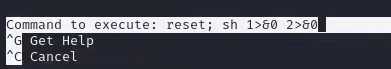 Obteniendo una shell de root desde nano
