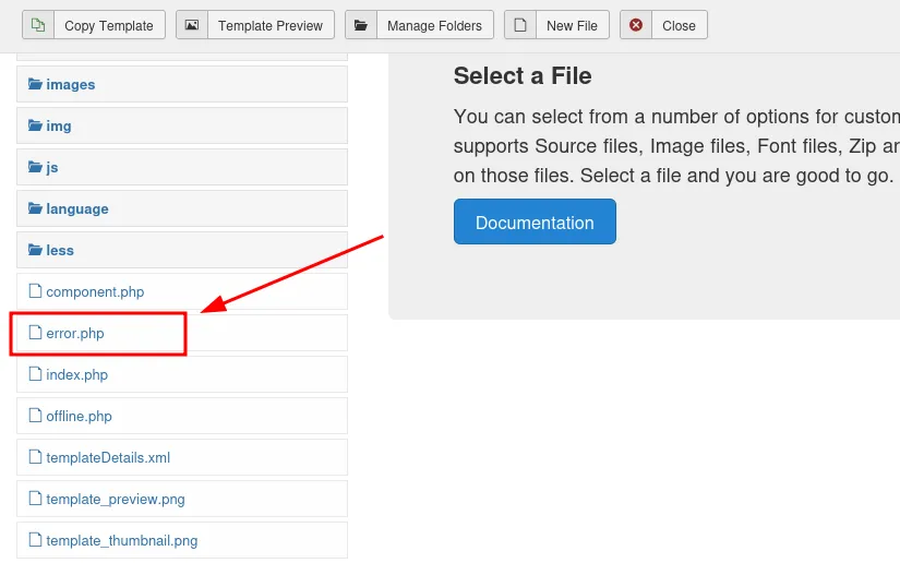 Editing error.php inside the template