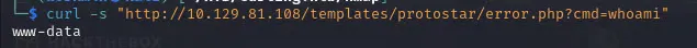 Executing commands through the webshell
